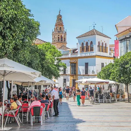 Apartment Gorgeous In With Wifi