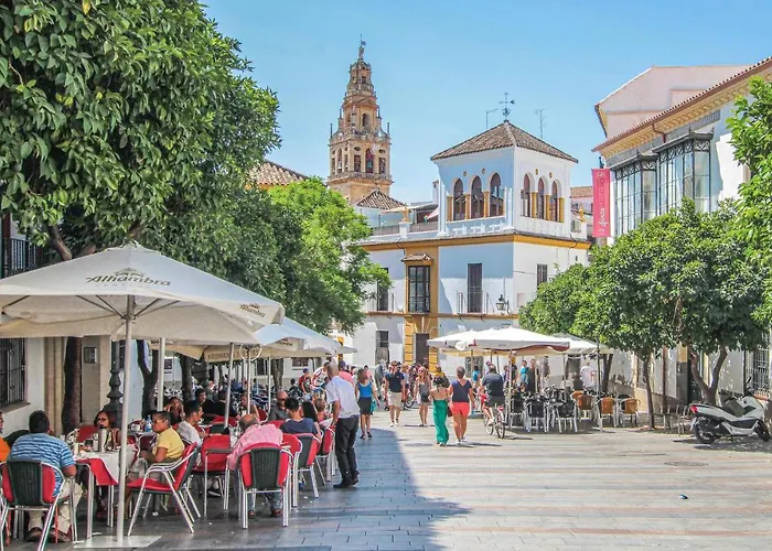 Apartment Gorgeous In With Wifi